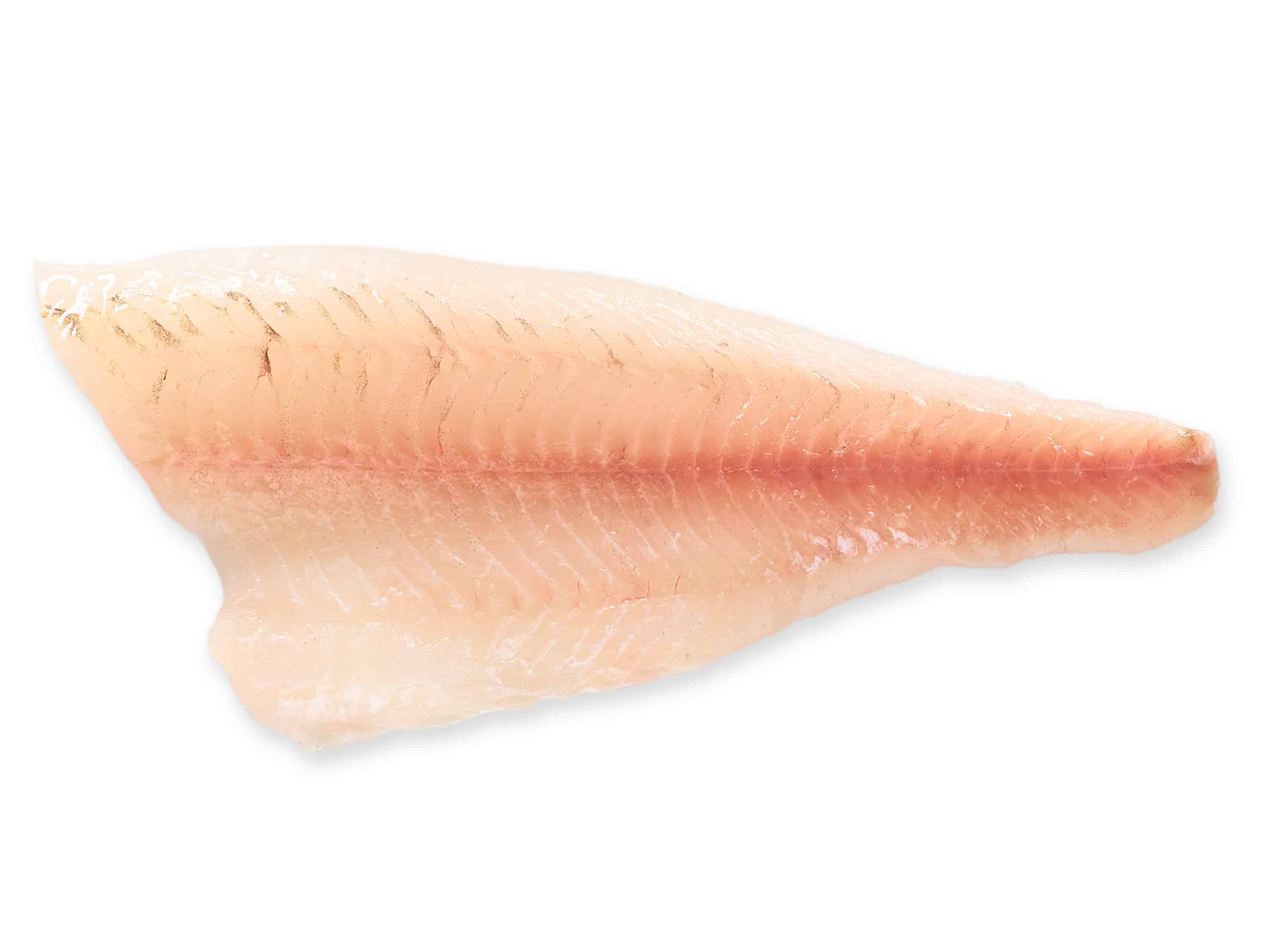 Ahvenfilee | Tuoreet kalat – Kalaneuvos