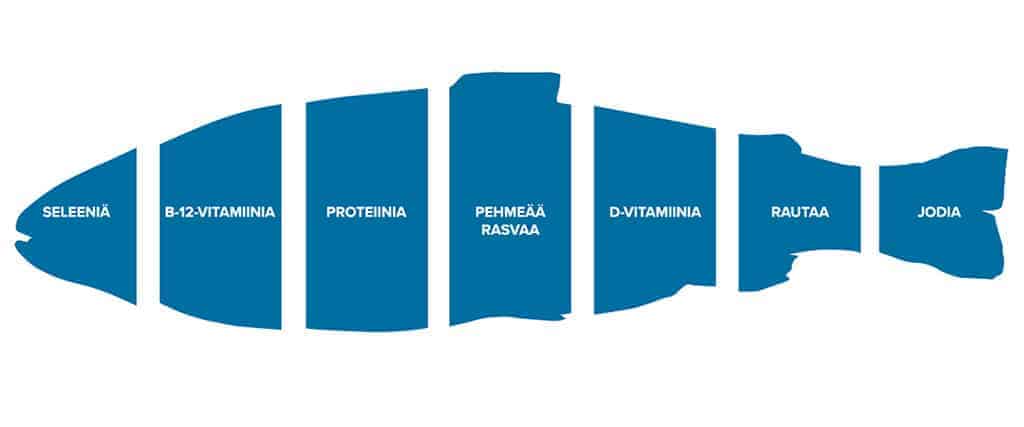 Kala on terveellistä ravintoa