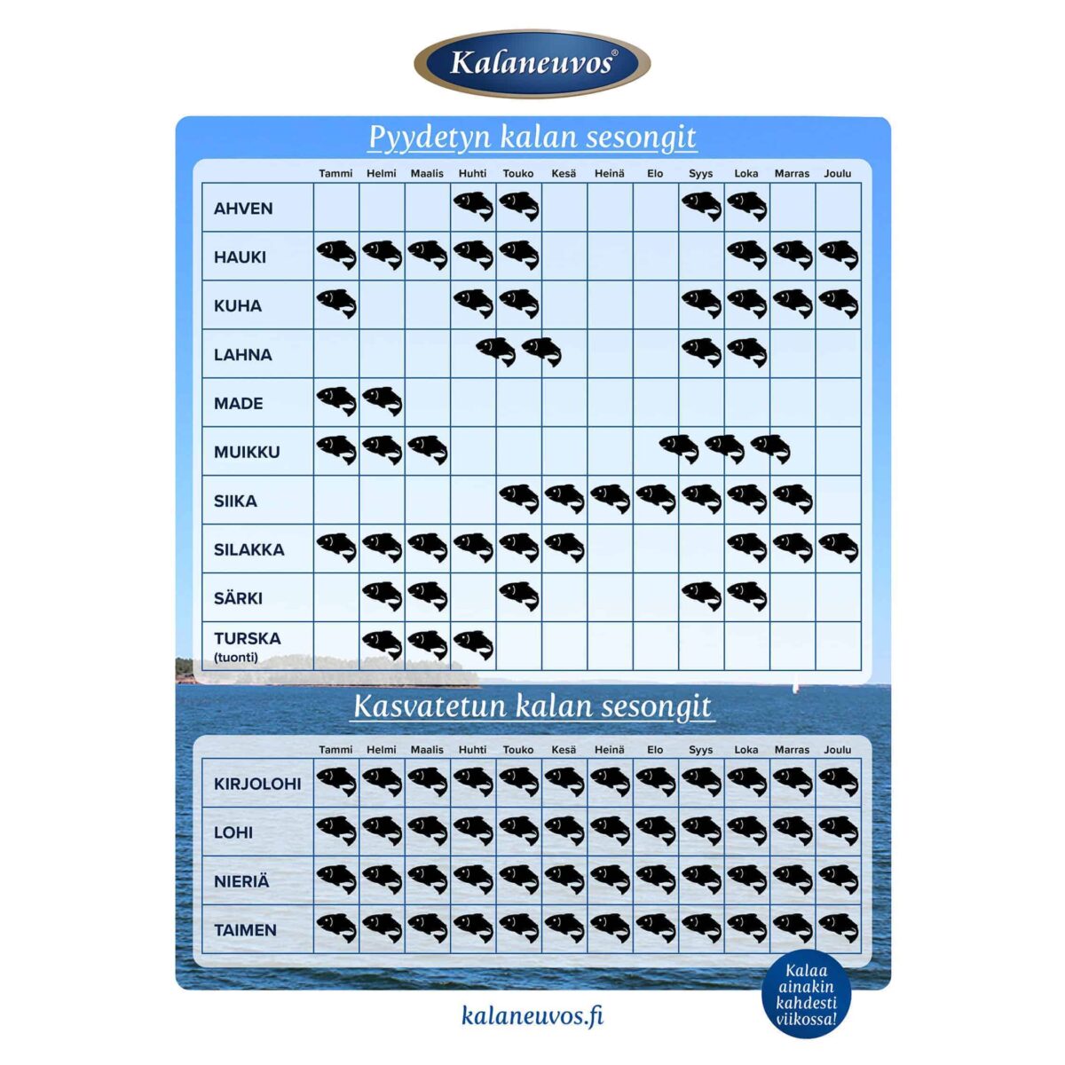 Kalan sesongit - Kalojen sesonkikalenteri – Kalaneuvos