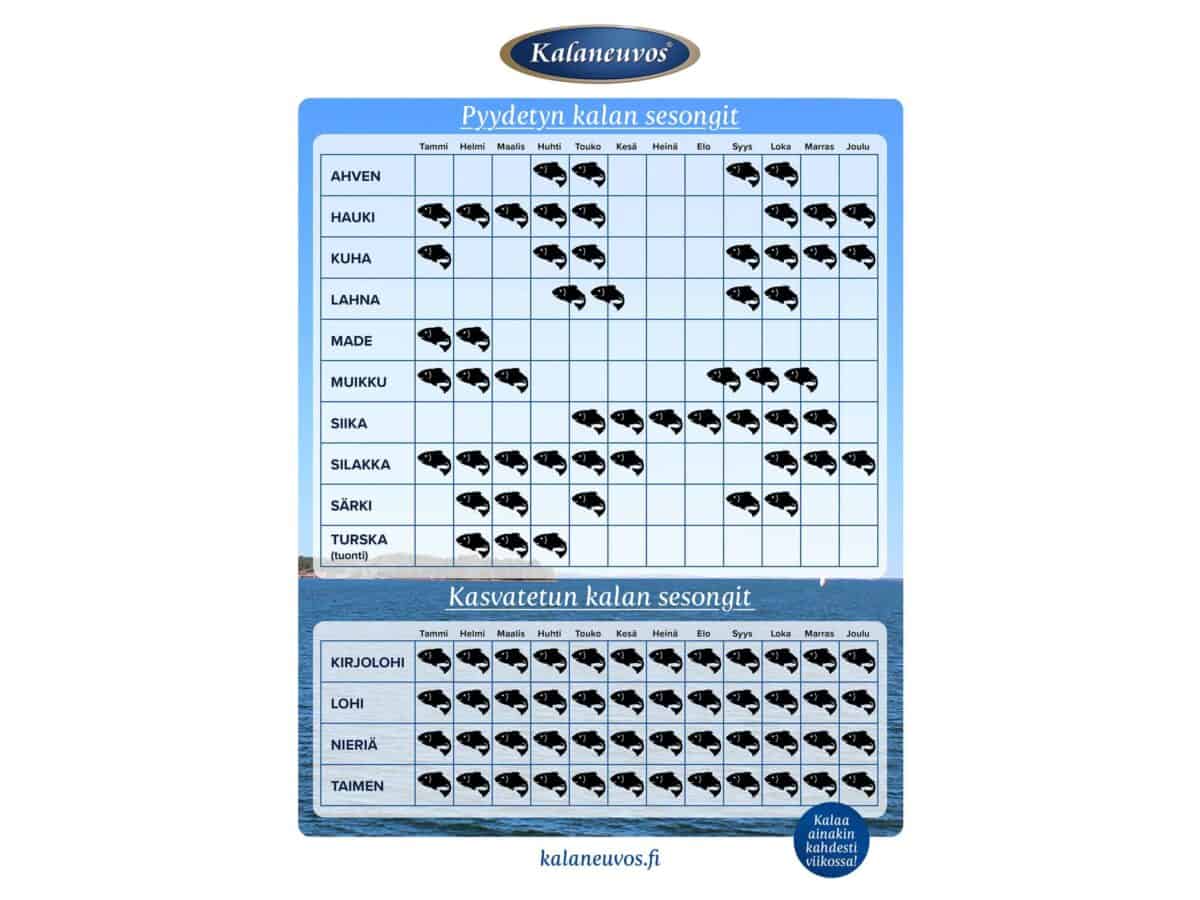 Kalan sesongit - kalojen sesonkikalenteri