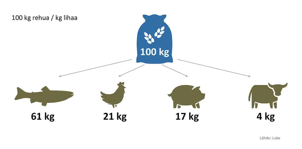 Kalankasvatuksen tehokkuuslukuja