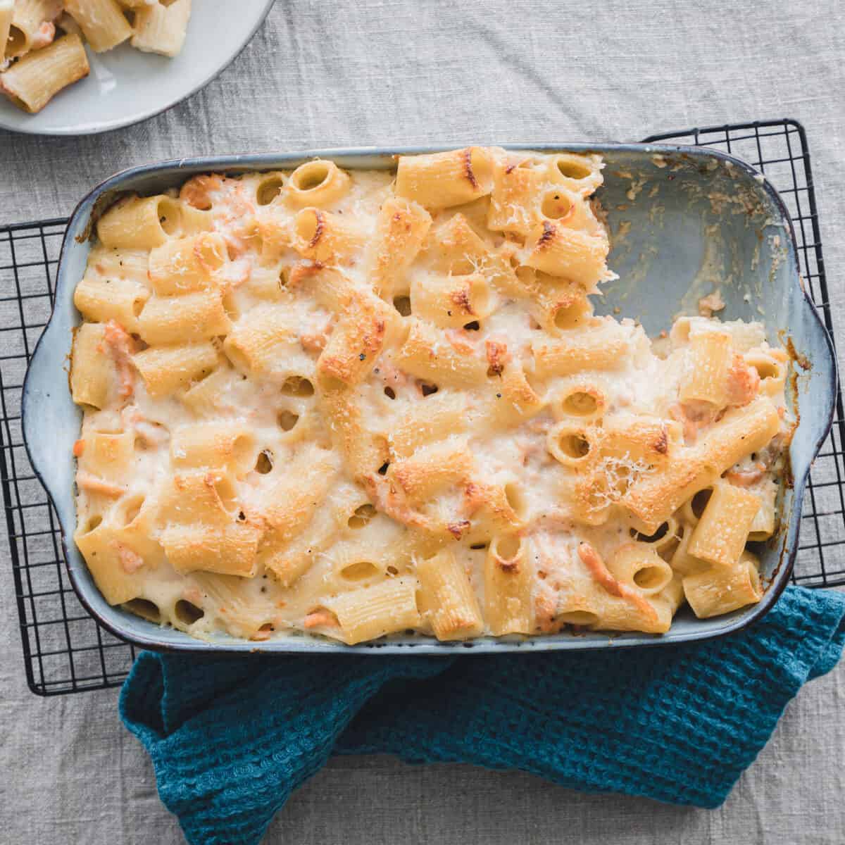 Kirjolohi mac & cheese | P&auml;&auml;ruoka | Resepti – Kalaneuvos